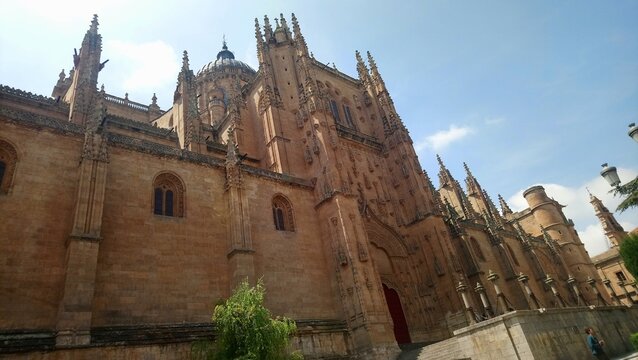 cath&eacute;drale Salamanque