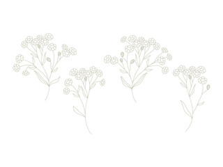 Flower branch. Hand drawn  herbs, plants and elegant leaves. Botanical rustic trendy greenery vector