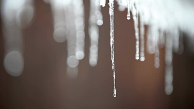 Tauender und tropfender Eiszapfen an einem Dach