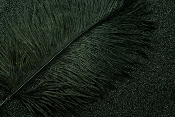 abstract black feathers on dark stone  background texture