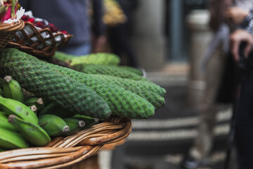 monstera fruit 
