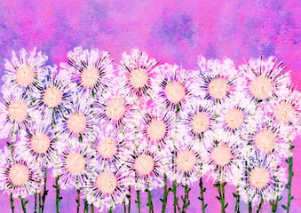 white dandelions watercolor flowers illustration, handpainted floral image