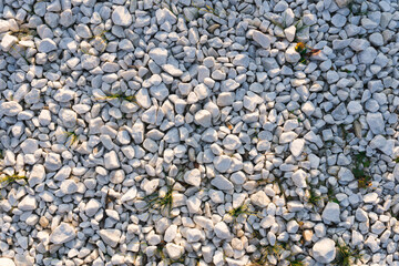 Small white rocks and grass under evening orange sun background texture.