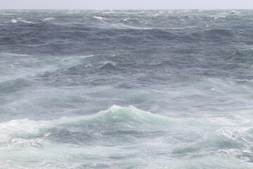 Fototapeta premium waves in Baltic sea