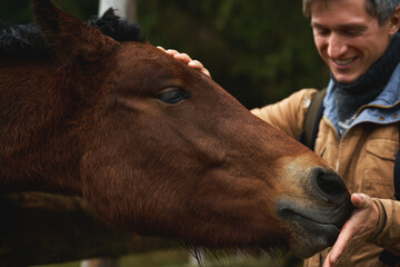 Close up had of brown horse licking hand his owner. Portrait of happy man with Thoroughbred horse
