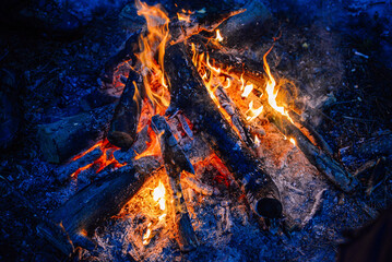 Burning fire in nature.