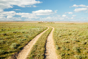 Green steppe and a road leading into the distance on a sunny day.