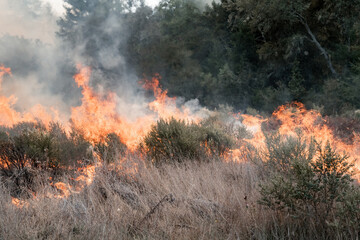 Flames from Wildfire in California