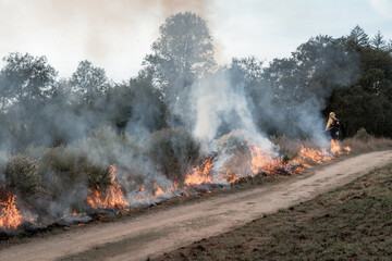 Fototapeta premium Flames from Wildfire in California