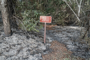 Firefighter Fighting Wildfire in Forest in California