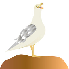 A white seagull clipart on a clear backdrop. The cartoon bird stands on a brown stone with its beak open. The vector image for web pages, cards, posters, prints and other, PNG file 5000х5000 px