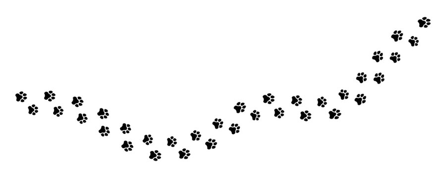 Tracks of cat or dog tracks, footprint, design. Footprint pet. Vector illustration. Isolated objects on white background.