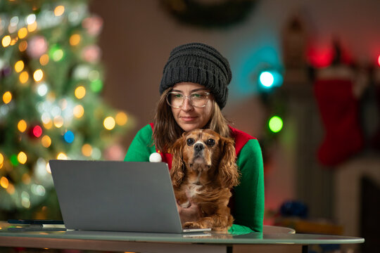 Young woman with her Cavalier King Charles Spaniel in front of a computer. Christmas Tree in the background of her living room.
