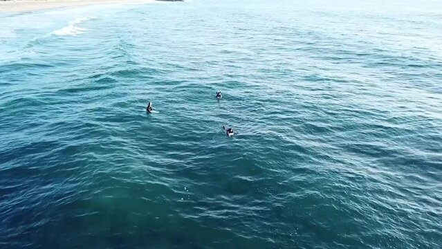 Carlsbad California by drone