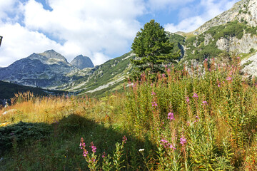 Summer landscape of Rila Mountain near Orlovets peak, Bulgaria