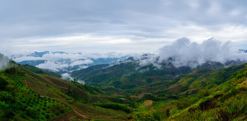 Panorama The high mountainscape is covered with mist and sunshine in the morning at the borderline between Thailand and Burma at Doi Chang , Chiang Rai, Thailand.