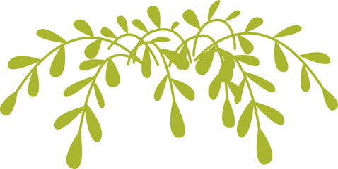 Cute cartoon spider plant flat icon Home gardening