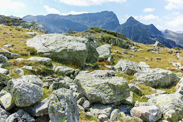Summer landscape of Rila Mountain near Orlovets peak, Bulgaria