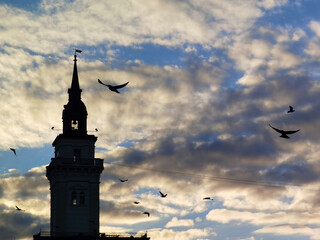 silhouette of clock tower at dusk