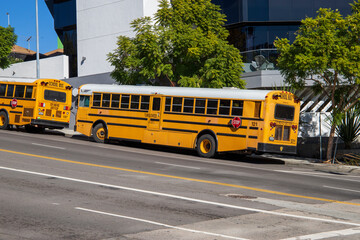 yellow and white school buses on the street surrounded by buildings and lush green trees in...