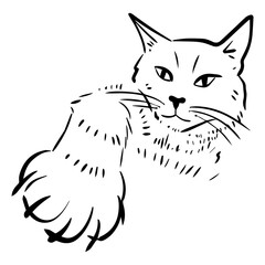 Vector illustration. The cat waves its paw. Cat claws.