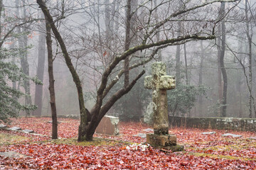 Early foggy morning in an old graveyard with trees and moss covered headstones and a crosse. Autumn leaves covering the ground in Sewanee Tennessee university cemetery.