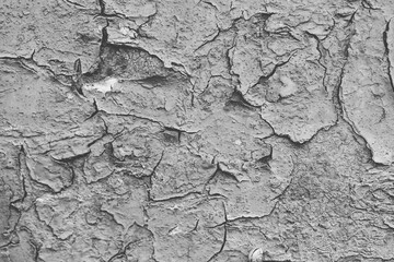 Closeup texture of cracked paint