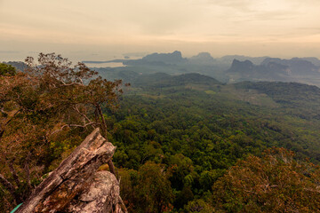 Naklejka premium The view of the natural background of the mountain close-up, with blurred fog scattered in the rainy season or the humid climate, with beautiful green trees in the ecological system