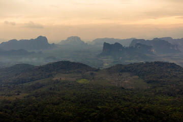 The view of the natural background of the mountain close-up, with blurred fog scattered in the rainy season or the humid climate, with beautiful green trees in the ecological system