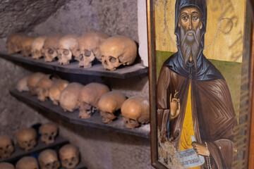 many skulls are human laid out in rows on the shelf and icon