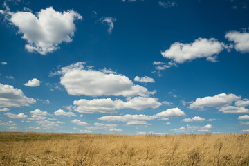 Fototapeta na wymiar beautiful landscape of blue sky with clouds and field in Ukraine