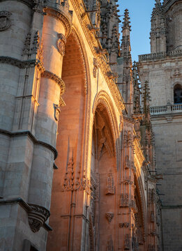 Cath&eacute;drale de Salamanque