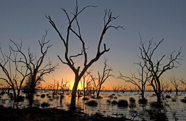 Menindee Lakes ,New South Wales ,Australia at sunset.