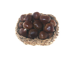 Chestnut, sweet chesnut  - castanea sativa, Spanish Chestnut, edible nut, on white background