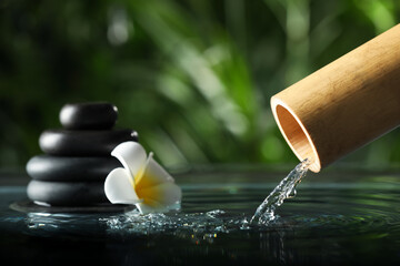 Composition with black pebble, flower and bamboo fountain against blurred background, closeup