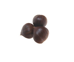 Chestnut, sweet chesnut  - castanea sativa, Spanish Chestnut, edible nut, on white background