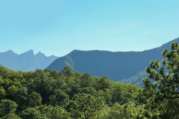 Obraz premium Picturesque view of high mountains and trees