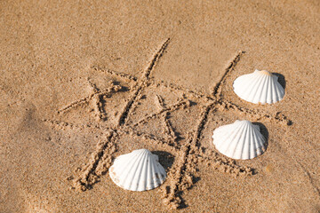Playing Tic tac toe game with shells on sand