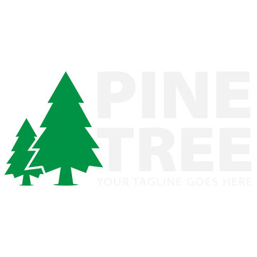 Pine tree logo design vector image
