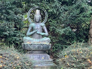 View of Buddha statue in autumn park