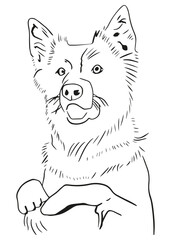 a happy dog standing on its hind paws. hand drawn isolated vector graphic