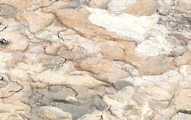 Tree bark texture. Backgrounds and textures. 3d illustration