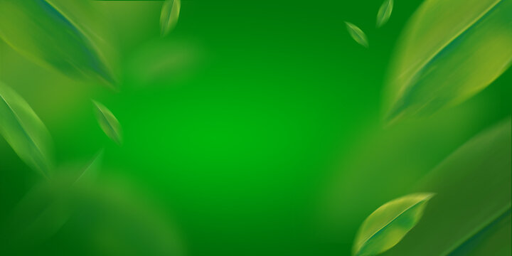 copy space green grass background