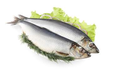 Plate with salted herrings, dill, onion rings and lettuce isolated on white