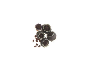 Seeds of Cyclamen,  perennial flowering plants in the family Primulacea,on white background