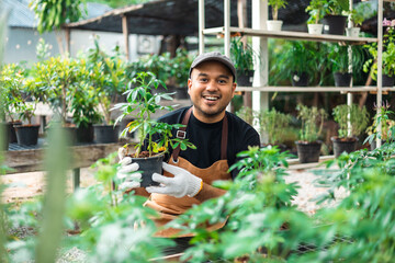 Happy gardener man in gloves and apron plants flowers in greenhouse. Florists man working gardening in the backyard. Flower care harvesting. Planting in pot with dirt or soil - Powered by Adobe