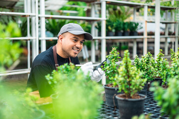 Happy gardener man in gloves plants flowers in greenhouse using tablet check growth quality of Plant. Florists man working gardening in the backyard. Flower care harvesting.