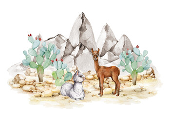 Two lama animals in rocky desert landscape. Watercolor illustration. Hand drawn couple of llama with prickly pear cactus, mountain range background. Wildlife nature scene with llama animals © anitapol