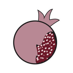 Illustration vector graphic of pomegranate with round shapes