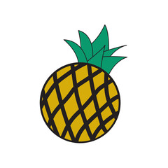 Illustration vector graphic of pineapple with round shapes